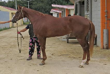 �������� ����