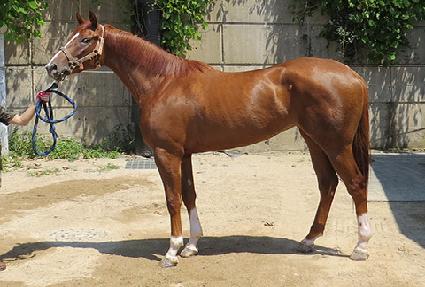 �۷ι��۽�Ʈ ����