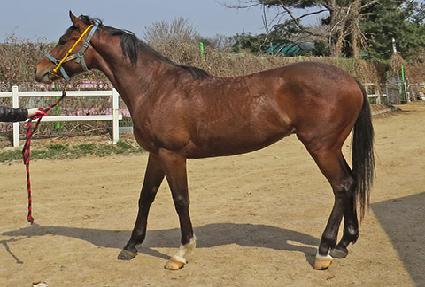 �۽�Ʈ�� ����