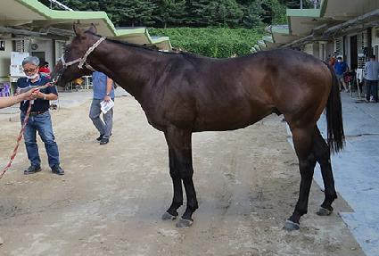 ť�ǵ庸�� ����