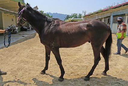 �ż���ǳ ����