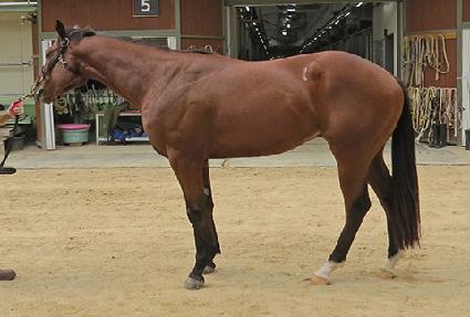 ������ ����