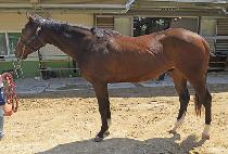 �����Բ����� (ORAE HAMKKEHAJA) ����