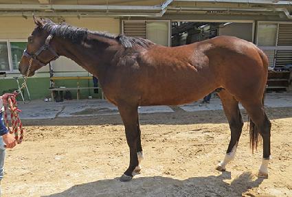 �����Բ����� ����