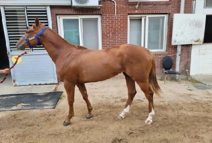 �����ġ ����