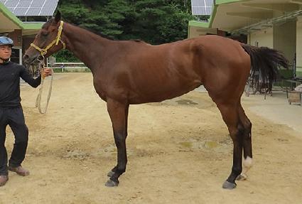 ����Ŀ�� ����