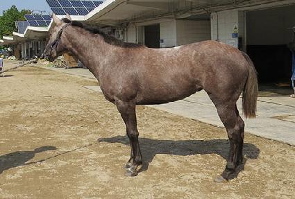 �ϴþ� ����