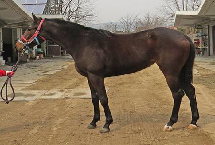 �޴��ǹ��� ����