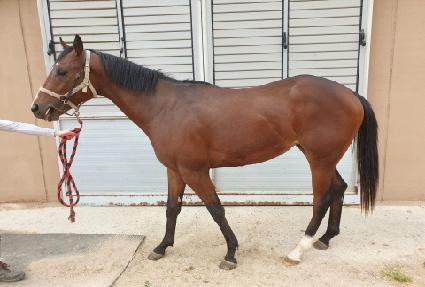 ������ŷ ����