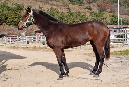 ȣ������ ����