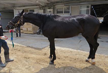 ���ߵ����� ����