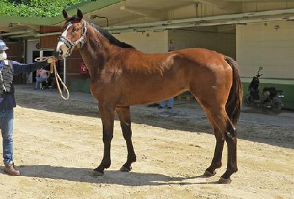 ��´����� ����