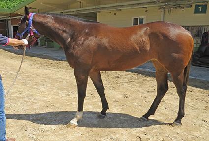 ��´����˵� ����