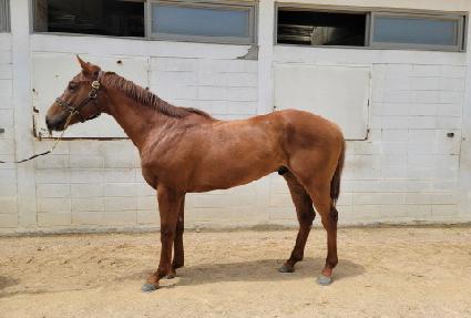 �Ŀ����� ����