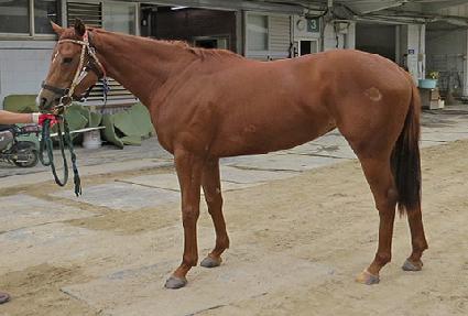 �Ѱ����� ����