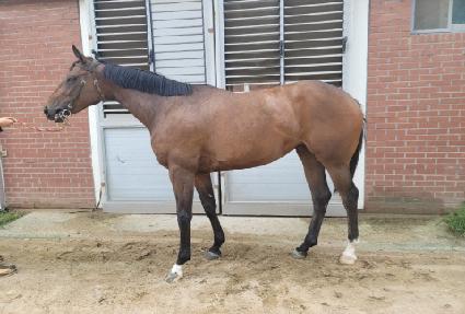 ��ũ��� ����