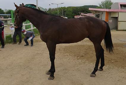 �ǿ������ູ ����