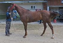 ���ǹͽ� (HAPPY MIX) ����