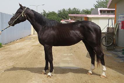 û�꿵�� ����