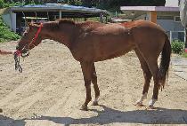 ����Ʈ�ŵ�ķ (BEST MAD CAM) ����