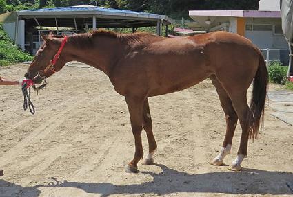 ����Ʈ�ŵ�ķ ����