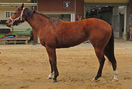 �׸��� ����