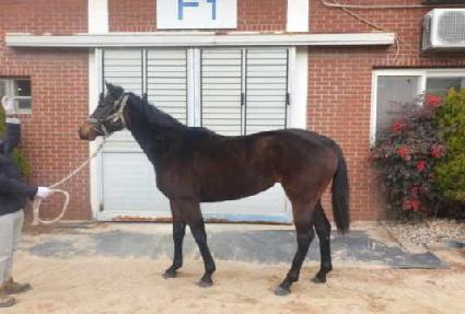 ����ī��� ����