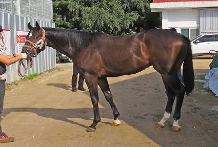 ���ÿ��� ����