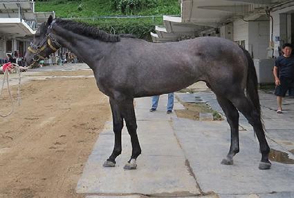 �ӴϽ� ����