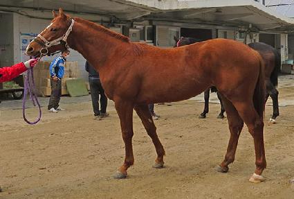 ũ��Ĺ���� ����