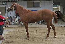 �ŵ𽼹��� (MADISON MUSIC) ����