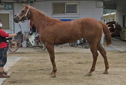 �ŵ𽼹��� ����