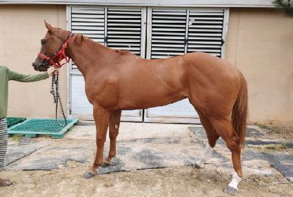 �������ϳ� ����