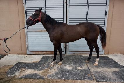 �����Ŭ���� ����