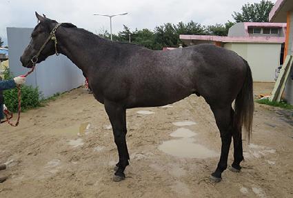 è�Ǿ��Լ� ����