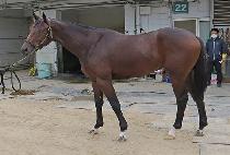 �߹������� (YAMUJIN WANGCHO) ����