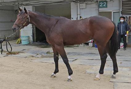 �߹������� ����