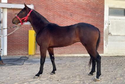 �ݺ��ܿ� ����