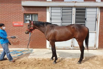 ���ֺ��� ����