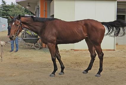 ����è�Ǿ� ����