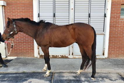 ���ҿ��̽� ����