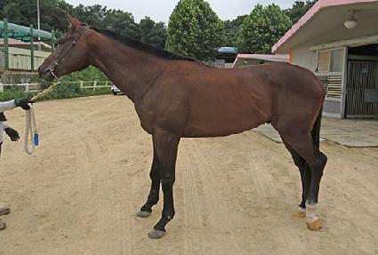 �۾Ϸ����� ����