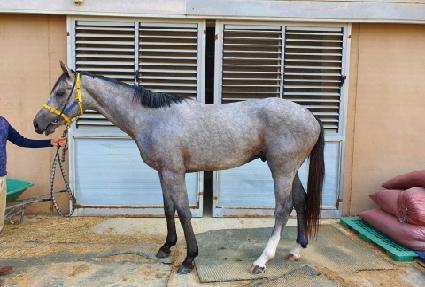 ���������� ����