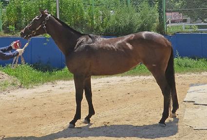 �۾Ͼ�ġ�� ����