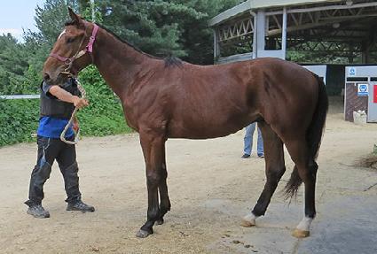 Ƽ����� ����