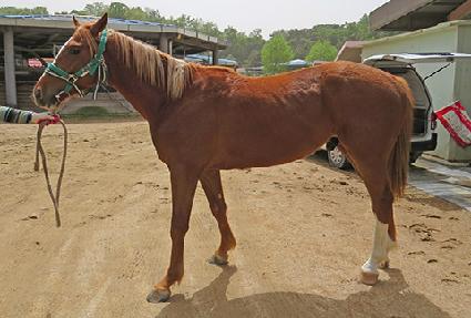 ������ ����