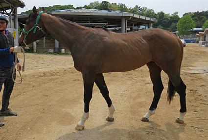 ���ͳμ����� ����