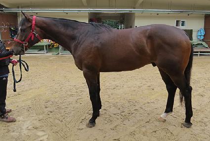 �ƶ����� ����