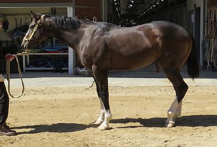 ���ǵ���� ����