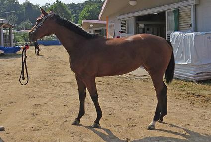 ����Ʈ���� ����